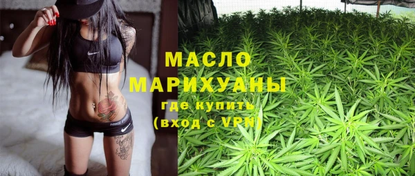 гашик Новозыбков