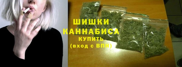 гашик Новозыбков