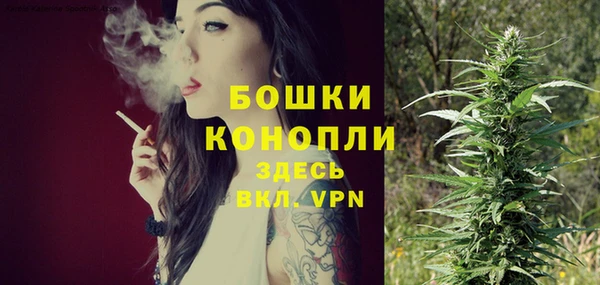 гидропоника Няндома