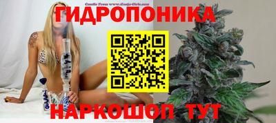 ALPHA-PVP Кинель