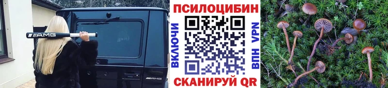 Галлюциногенные грибы мухоморы  наркота  Кропоткин 