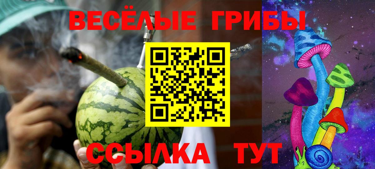 Галлюциногенные грибы мицелий Кропоткин